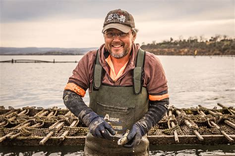 cheap oysters bay area